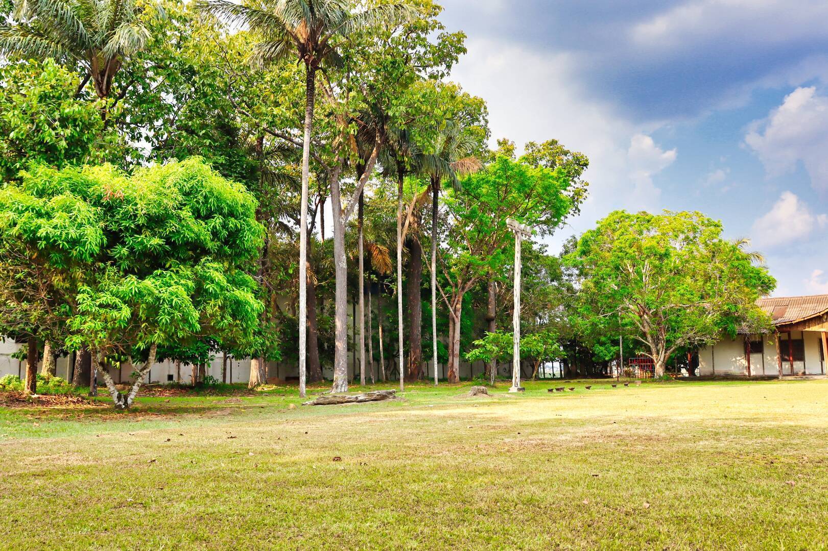 Terreno à venda, 300m² - Foto 8