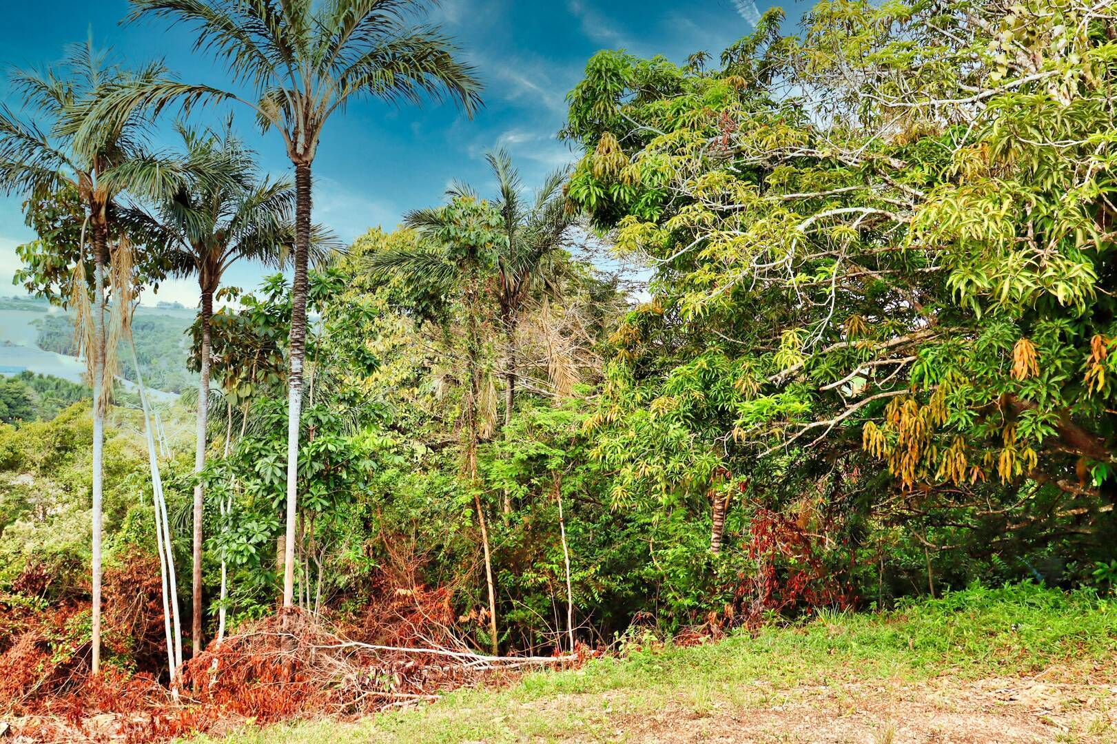 Terreno à venda, 300m² - Foto 9