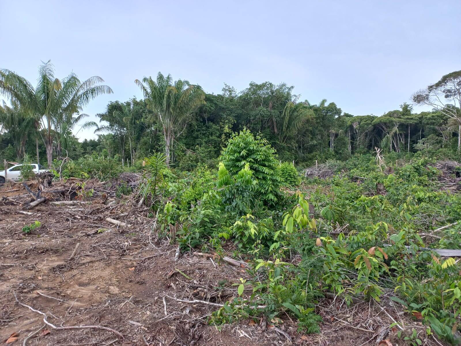 Terreno à venda, 1000m² - Foto 4