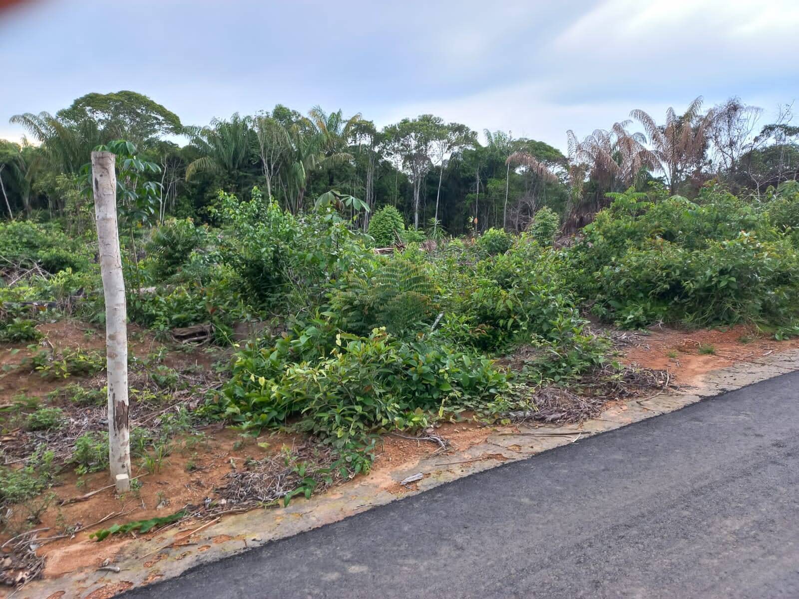 Terreno à venda, 1000m² - Foto 5