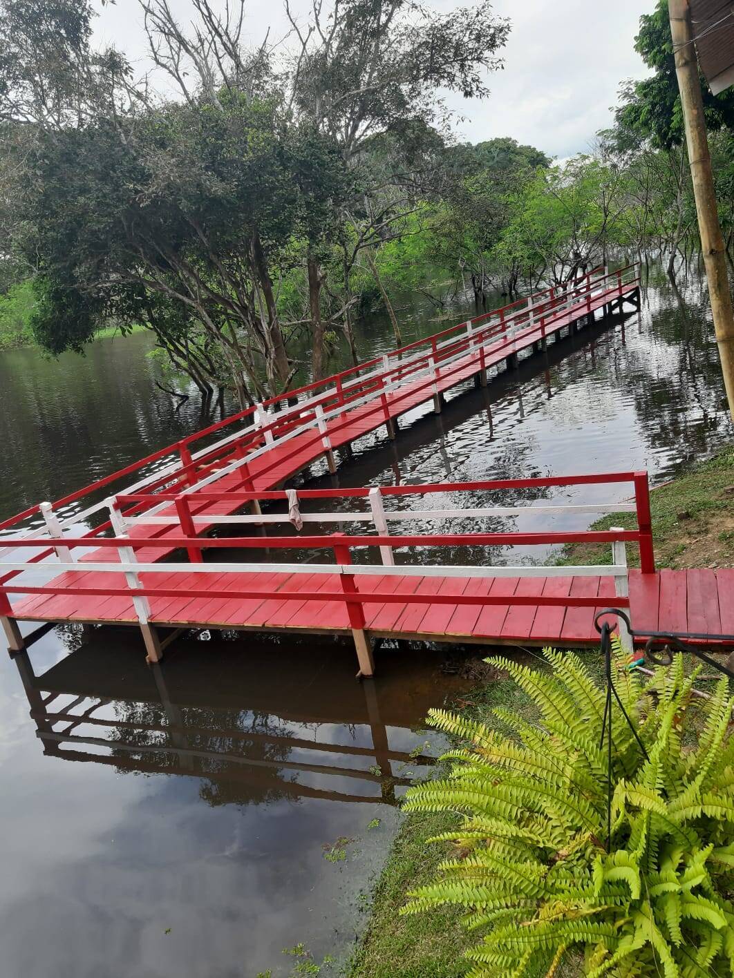 Terreno à venda - Foto 10