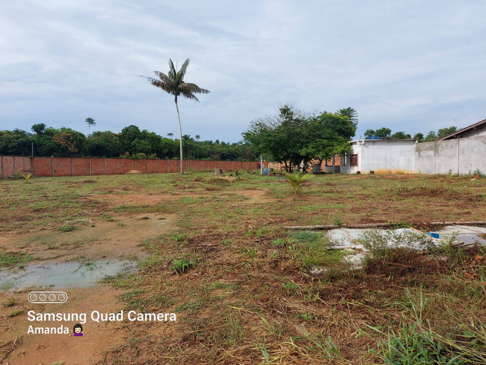 Terreno à venda e aluguel, 6000m² - Foto 2