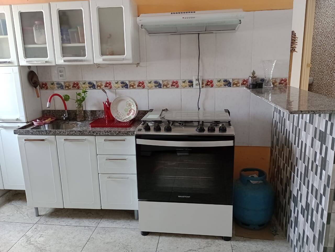 Casa à venda e aluguel com 4 quartos, 120m² - Foto 10