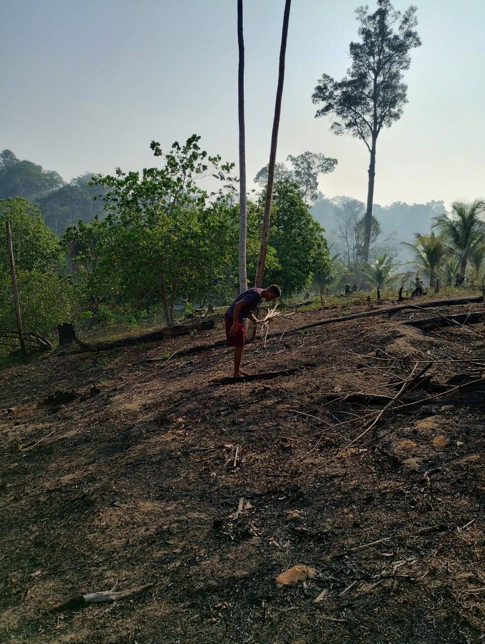 Terreno à venda, 138000m² - Foto 5