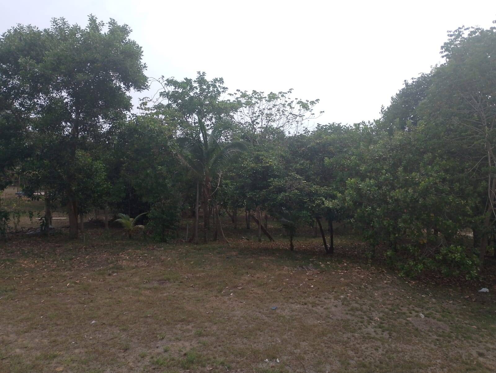 Fazenda à venda com 2 quartos, 300m² - Foto 16