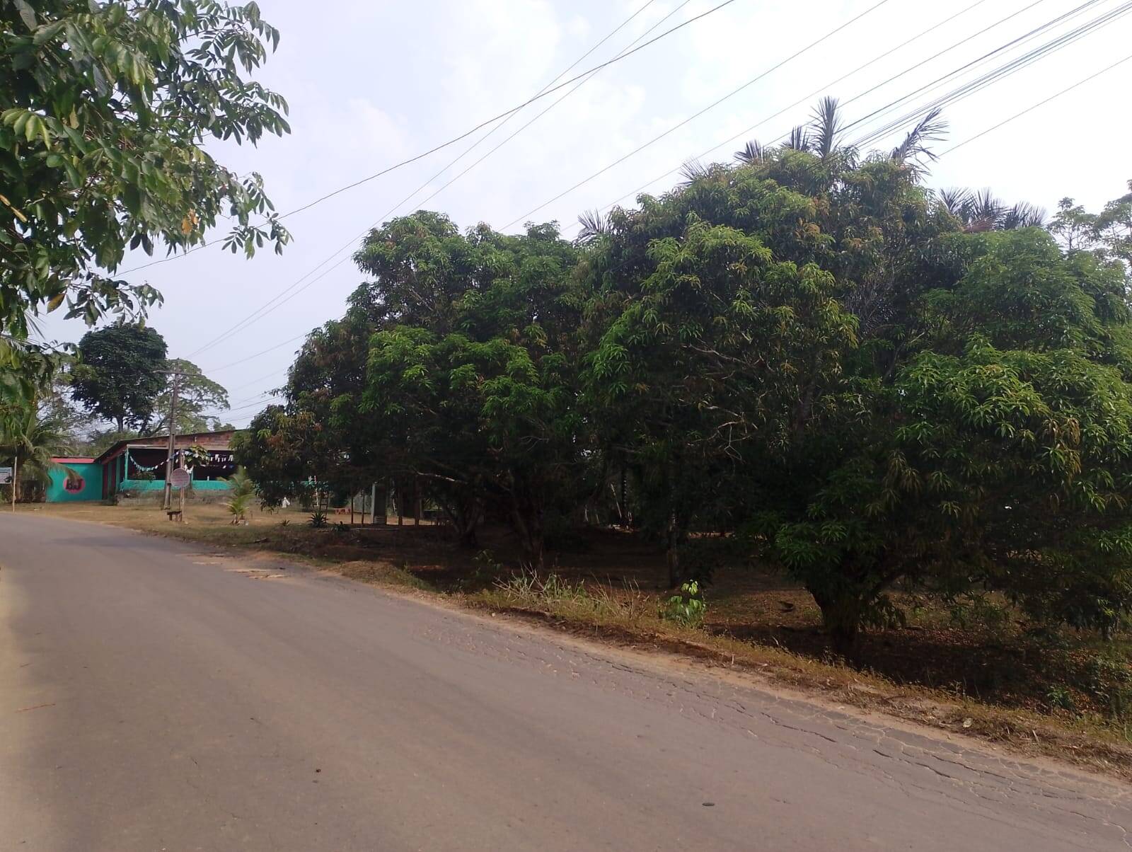 Fazenda à venda com 2 quartos, 300m² - Foto 22