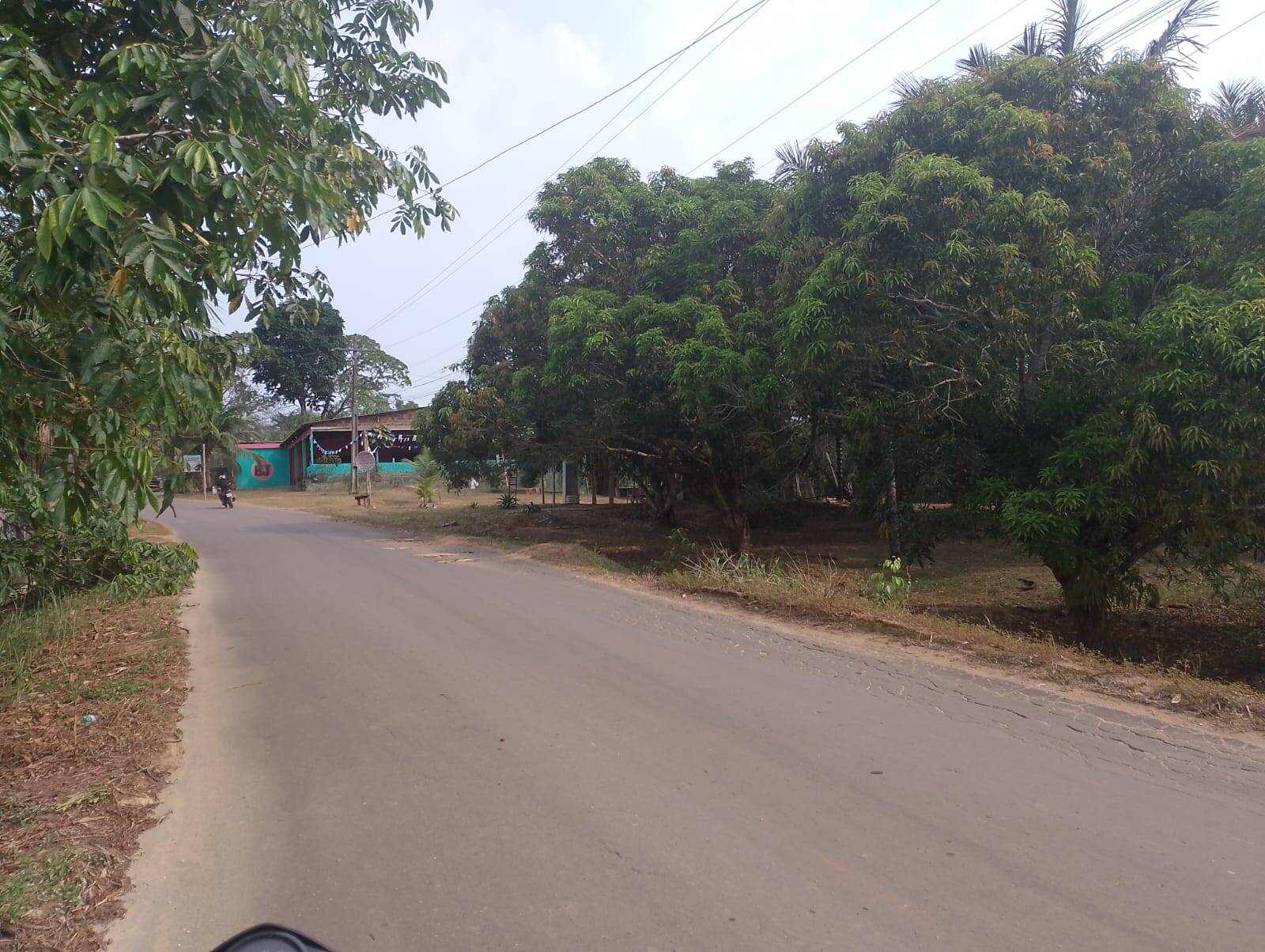 Fazenda à venda com 2 quartos, 300m² - Foto 26